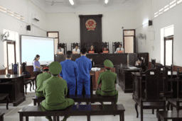Xét xử vụ án tàng trữ trái phép chất ma túy