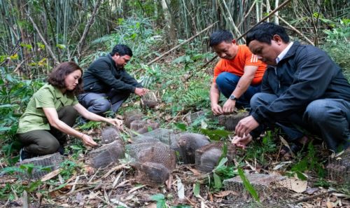 https://www.baokontum.com.vn/uploads/Image/2021/01/08/20210108090703to-chuc-tha-cac-ca-the-dui-ve-lai-moi-truong-tu-nhien.jpg