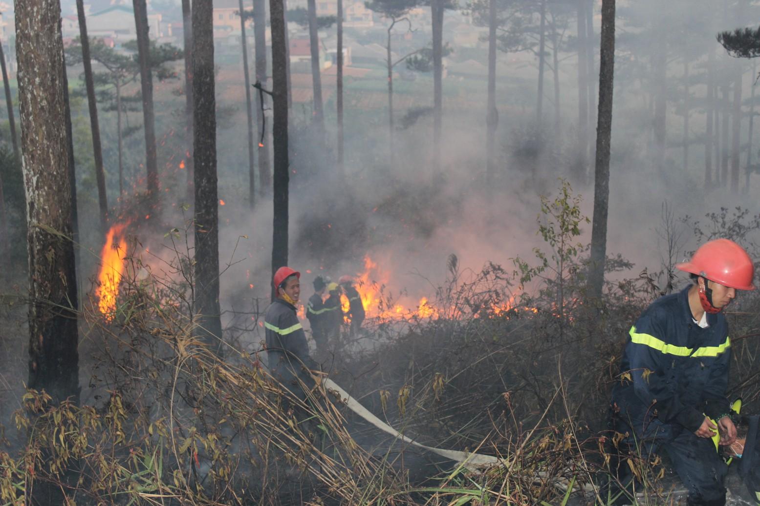 Một số biện pháp phòng cháy, chữa cháy rừng trên địa bàn tỉnh Kon ...
