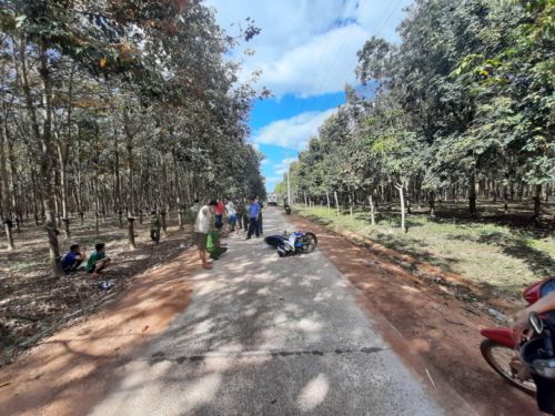 A group of people walking on a dirt road with trees on either side  Description automatically generated with low confidence