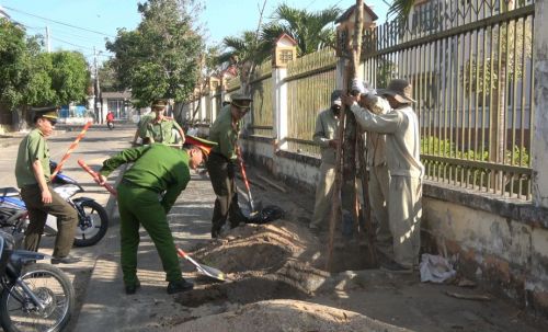 Trồng cây 3