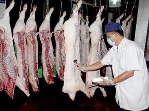 Quy trình kiểm soát giết mổ tại các cơ sở giết mổ động vật tập trung trên  địa bàn tỉnh Bình Định - Trạm Chăn nuôi và Thú y thị xã An