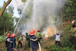 Tăng cường công tác phòng cháy, chữa cháy rừng trong mùa khô