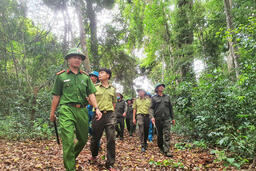 Tăng cường công tác quản lý, bảo vệ và phát triển rừng và phòng cháy, chữa cháy rừng năm 2023 trên địa bàn tỉnh Kon Tum